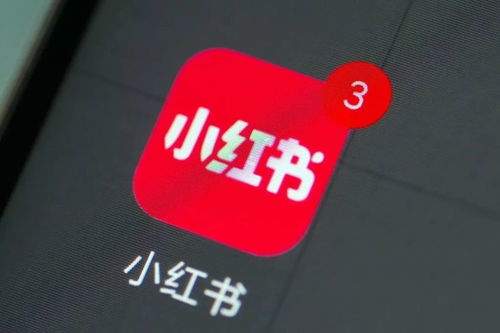 24小時(shí)內(nèi)兩筆投資曝光 小紅書跨界布局?jǐn)?shù)字文創(chuàng)，是“不務(wù)正業(yè)”還是謀篇“大棋”？